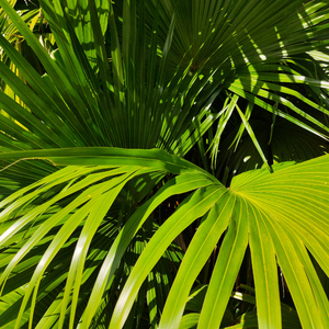 留守少妇半推半就偷人
